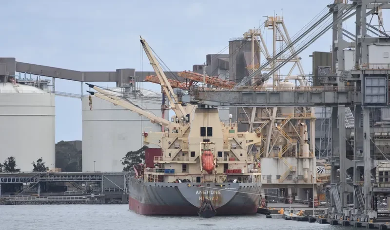ANEMONE Bulk Carrier IMO 9320324