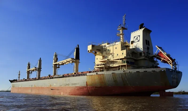 ANEMONE Bulk Carrier IMO 9320324 photo 2