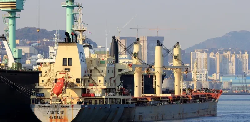 ANEMONE Bulk Carrier IMO 9320324 photo 7
