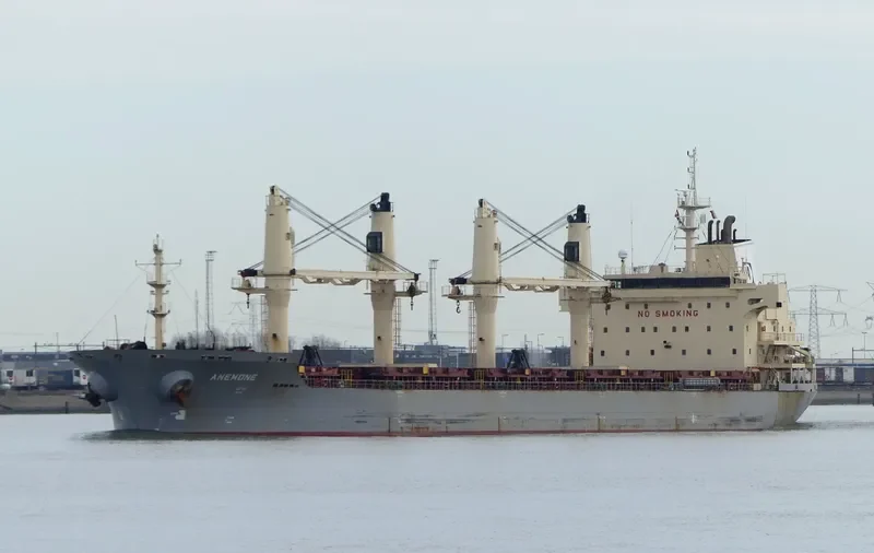 ANEMONE Bulk Carrier IMO 9320324 photo 9