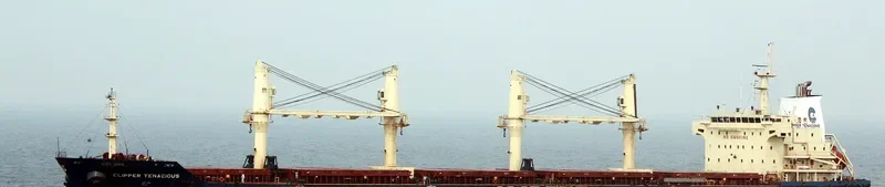 CLIPPER TENACIOUS Bulk Carrier IMO 9320348 photo 4
