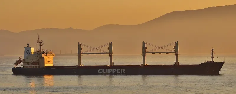 CLIPPER TENACIOUS Bulk Carrier IMO 9320348 photo 9
