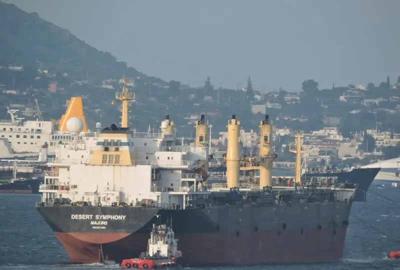 DESERT SYMPHONY Bulk Carrier IMO 9320996 photo 8