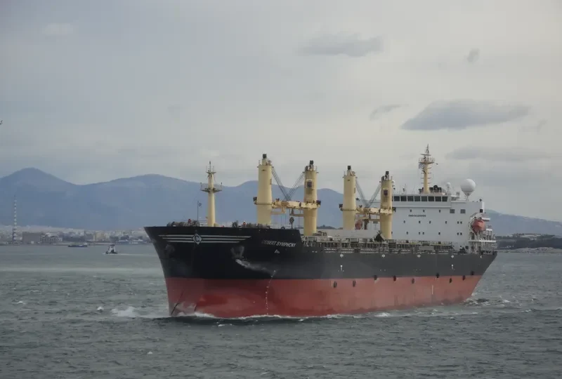 DESERT SYMPHONY Bulk Carrier IMO 9320996 photo 9