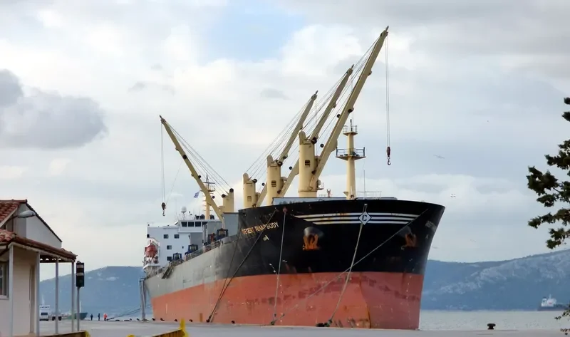 DESERT RHAPSODY Bulk Carrier IMO 9321005 photo 2