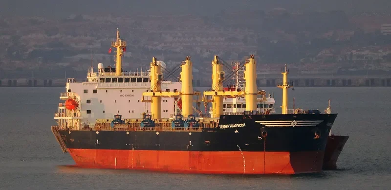 DESERT RHAPSODY Bulk Carrier IMO 9321005 photo 3