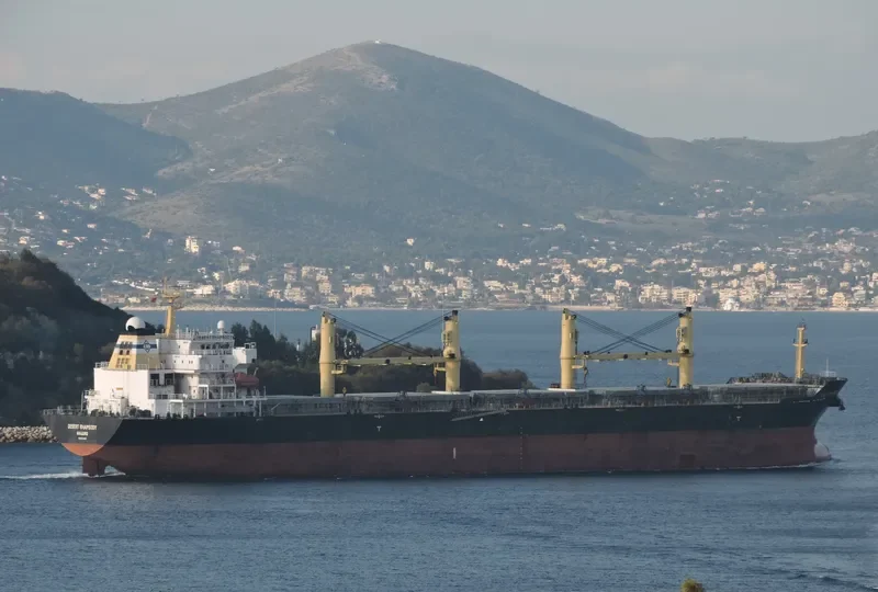 DESERT RHAPSODY Bulk Carrier IMO 9321005 photo 6