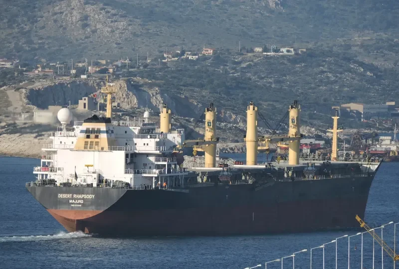 DESERT RHAPSODY Bulk Carrier IMO 9321005 photo 7