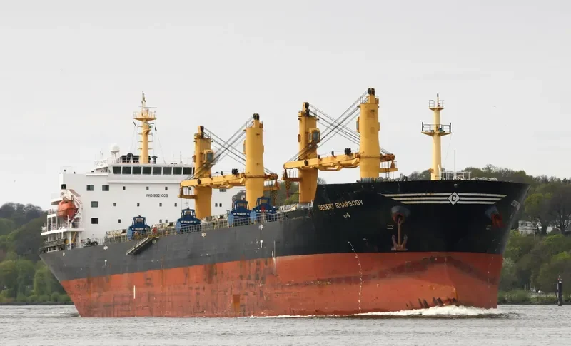 DESERT RHAPSODY Bulk Carrier IMO 9321005 photo 9