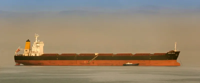 NAVIOS LIBERTAS Bulk Carrier IMO 9321914 photo 2