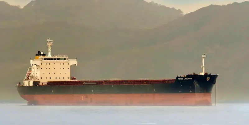 NAVIOS LIBERTAS Bulk Carrier IMO 9321914 photo 3