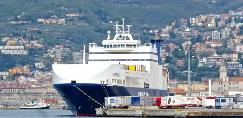 UN PENDIK Ro-Ro IMO 9322425 photo 9