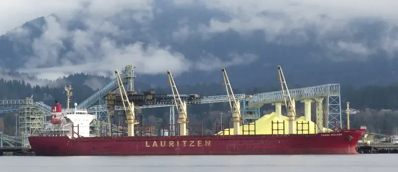 FENG SHUN Bulk Carrier IMO 9322736 photo 5