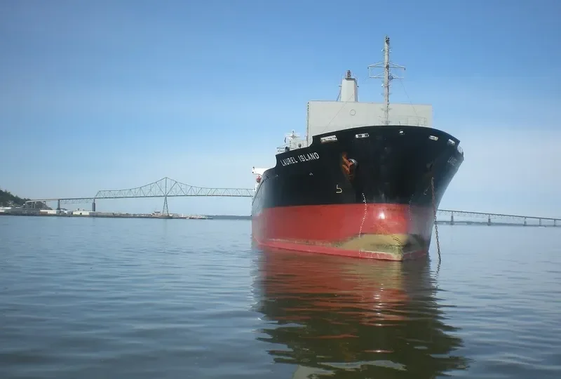 MED ISLAND Bulk Carrier IMO 9322748 photo 9
