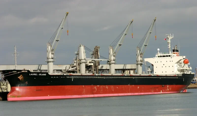 MED ISLAND Bulk Carrier IMO 9322748 photo 10