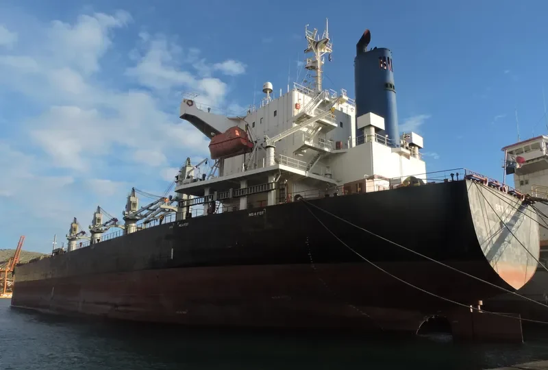 SPARROW Bulk Carrier IMO 9322774