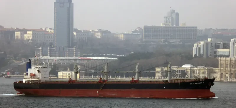 SPARROW Bulk Carrier IMO 9322774 photo 3