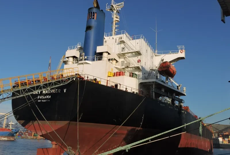 SPARROW Bulk Carrier IMO 9322774 photo 4