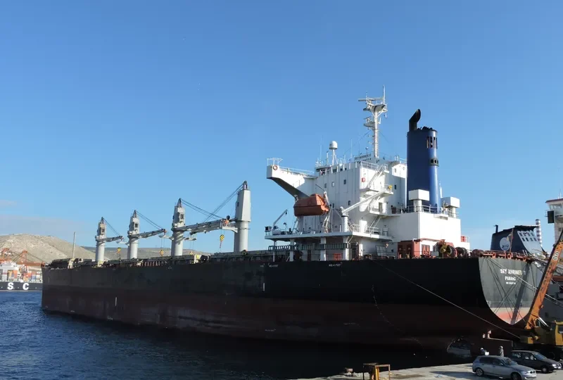 SPARROW Bulk Carrier IMO 9322774 photo 6