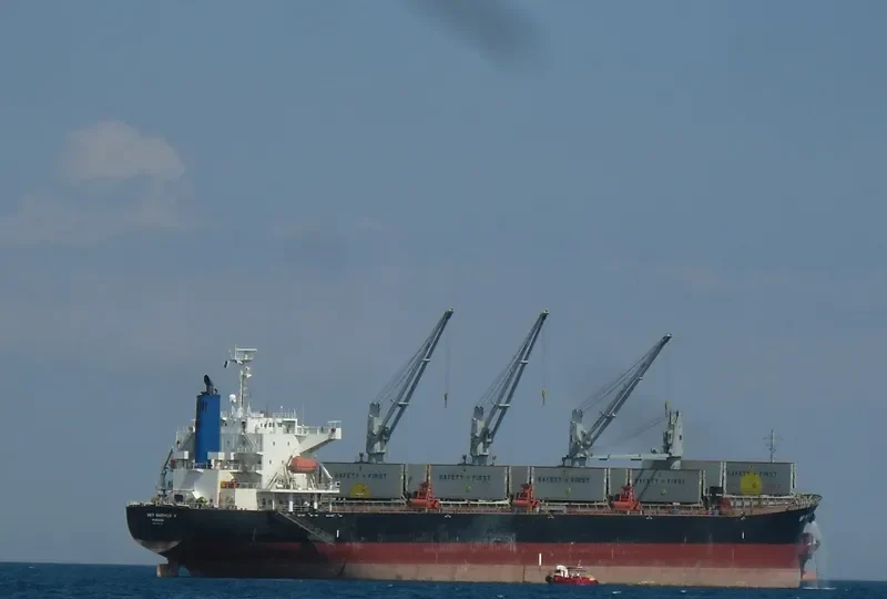 SPARROW Bulk Carrier IMO 9322774 photo 10