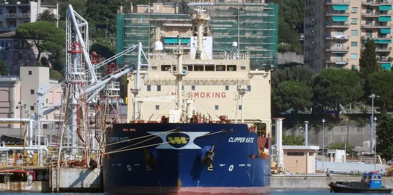 FORTUNE SWAN Tanker IMO 9322994