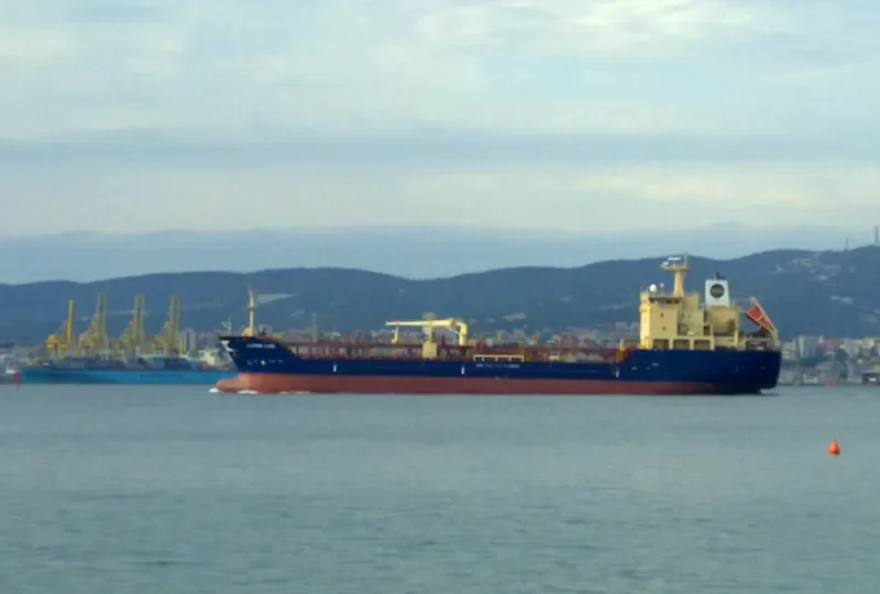 FORTUNE SWAN Tanker IMO 9322994 photo 7
