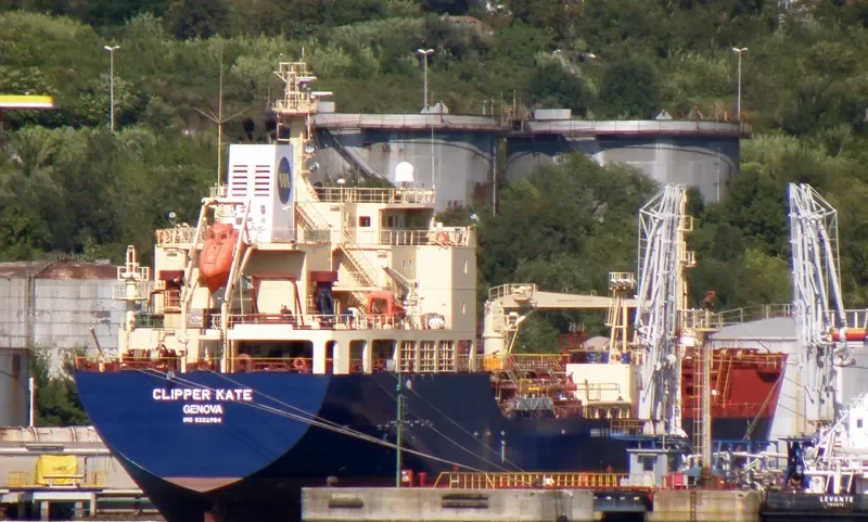 FORTUNE SWAN Tanker IMO 9322994 photo 10