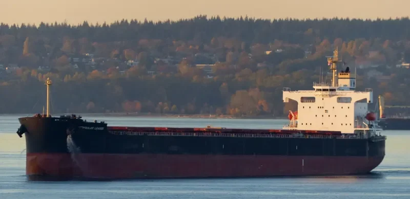 PEDHOULAS LEADER Bulk Carrier IMO 9323065 photo 2