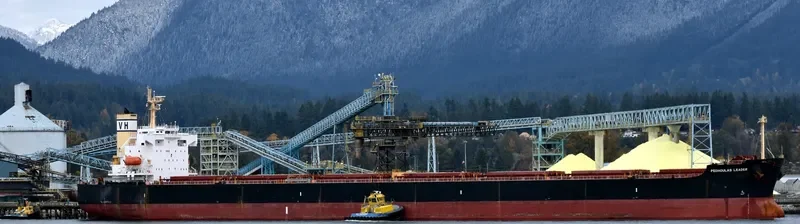 PEDHOULAS LEADER Bulk Carrier IMO 9323065 photo 4