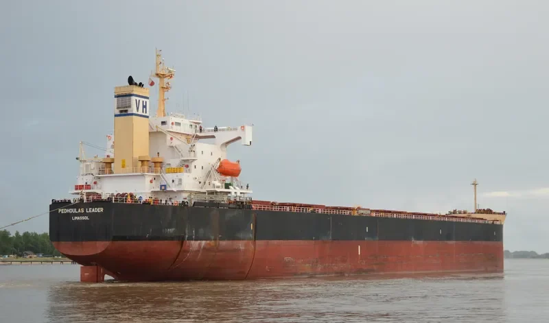PEDHOULAS LEADER Bulk Carrier IMO 9323065 photo 8