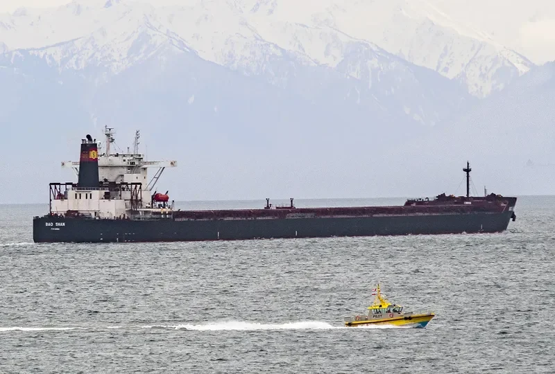 BAO SHAN Bulk Carrier IMO 9323455