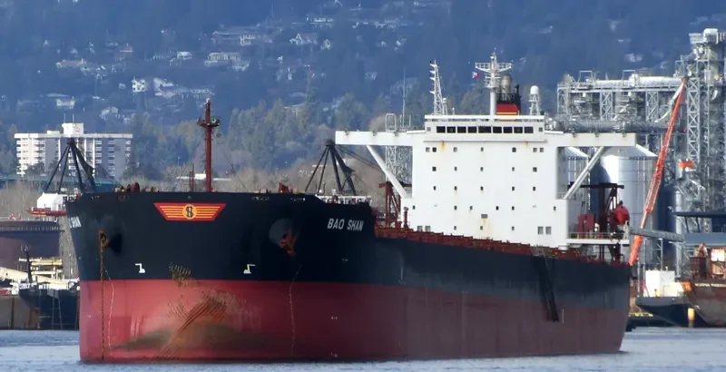 BAO SHAN Bulk Carrier IMO 9323455 photo 5