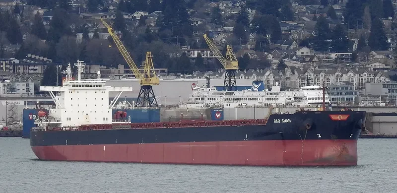 BAO SHAN Bulk Carrier IMO 9323455 photo 6