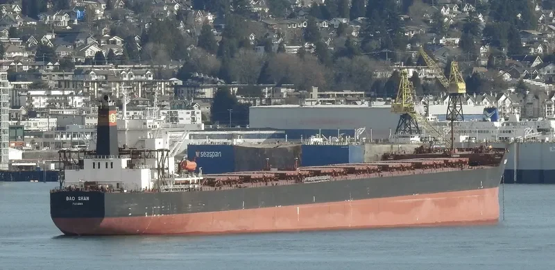 BAO SHAN Bulk Carrier IMO 9323455 photo 9