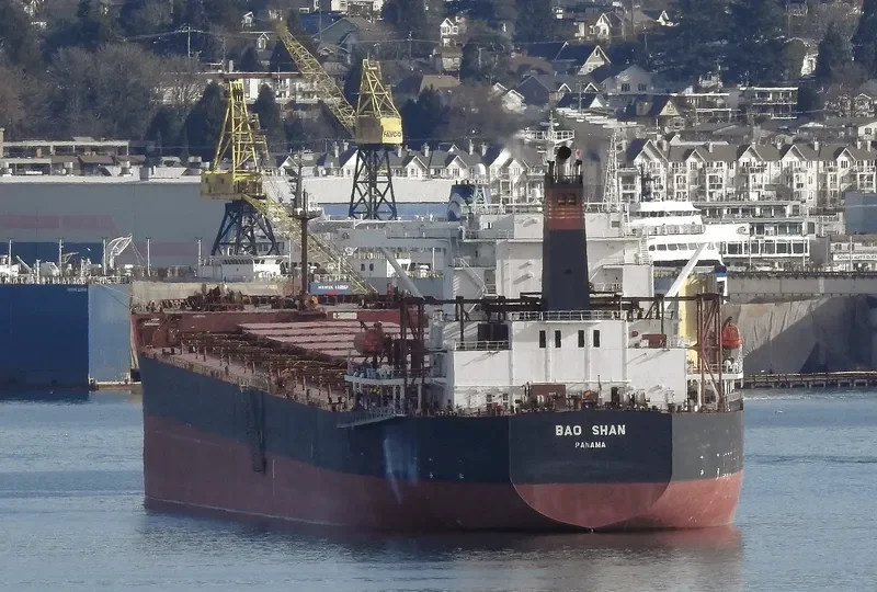 BAO SHAN Bulk Carrier IMO 9323455 photo 10