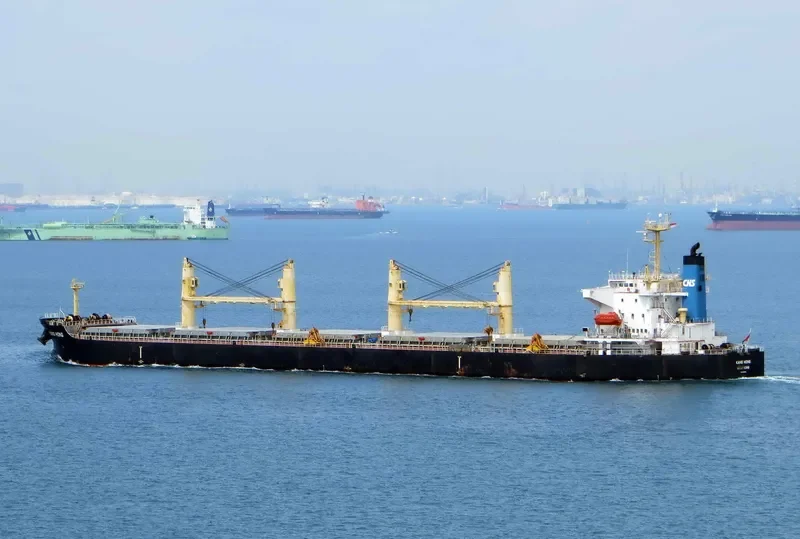 KANG HONG Bulk Carrier IMO 9323558 photo 6