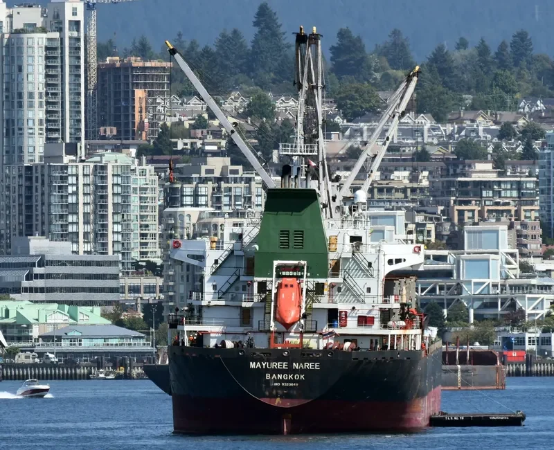 MAYUREE NAREE Bulk Carrier IMO 9323649 photo 4