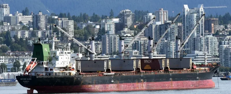 MAYUREE NAREE Bulk Carrier IMO 9323649 photo 7