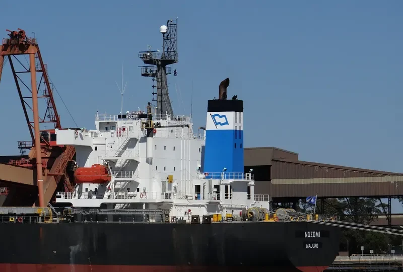 NOZOMI Bulk Carrier IMO 9323871 photo 8