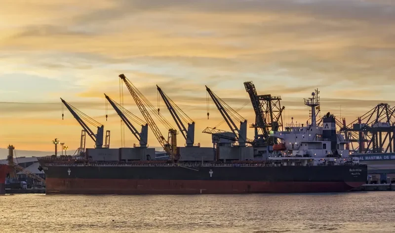 ELEOUSSA Bulk Carrier IMO 9323900 photo 3