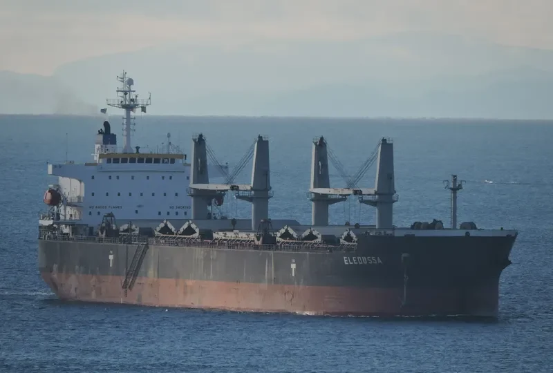 ELEOUSSA Bulk Carrier IMO 9323900 photo 5