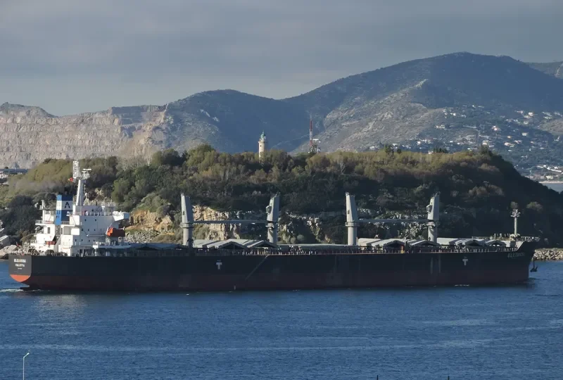 ELEOUSSA Bulk Carrier IMO 9323900 photo 7