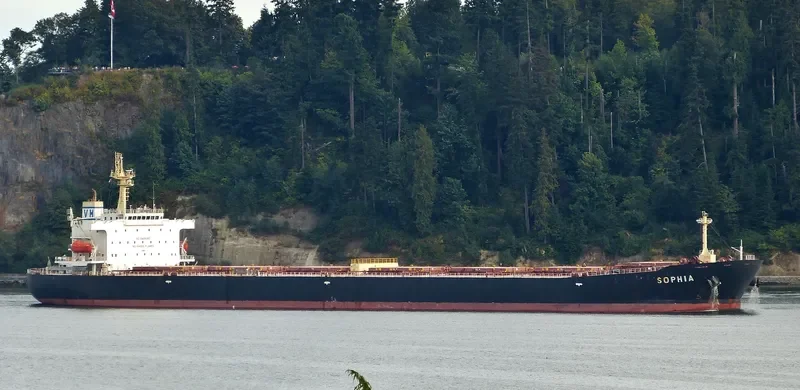 SOPHIA Bulk Carrier IMO 9323912 photo 6