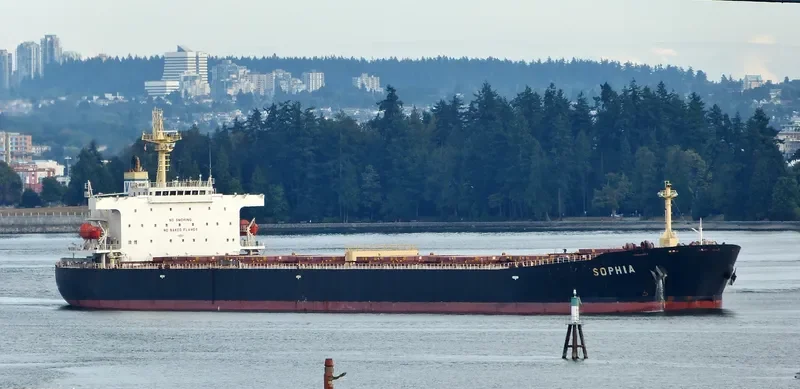 SOPHIA Bulk Carrier IMO 9323912 photo 7
