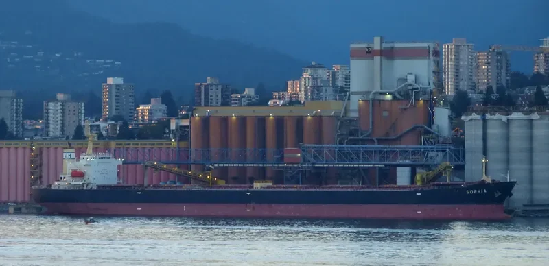 SOPHIA Bulk Carrier IMO 9323912 photo 8