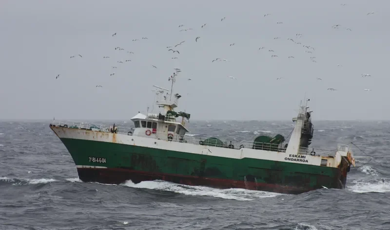 TXORI HIRU General Cargo IMO 9324007