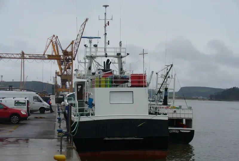 XUAN MONCHO General Cargo IMO 9324021 photo 3
