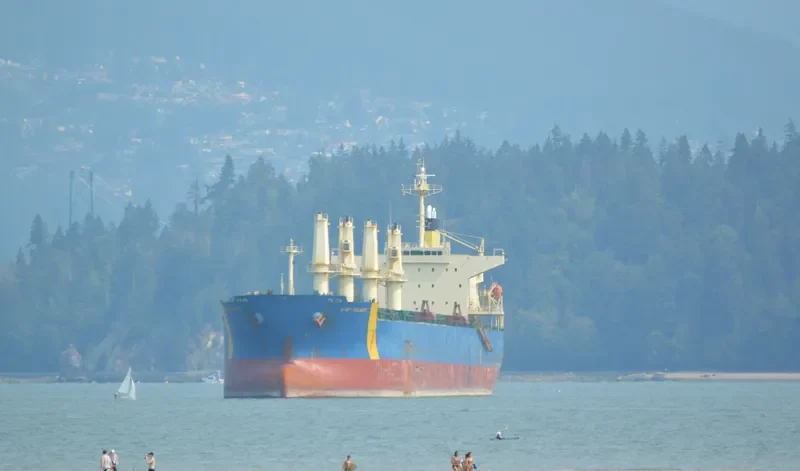 GUNALEILA Bulk Carrier IMO 9324083 photo 6