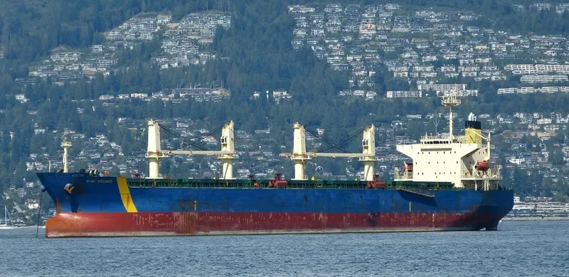 GUNALEILA Bulk Carrier IMO 9324083 photo 9