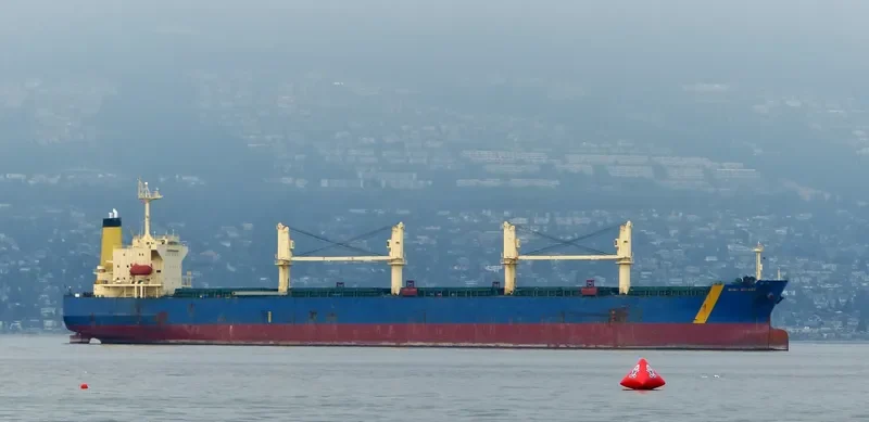 GUNALEILA Bulk Carrier IMO 9324083 photo 10